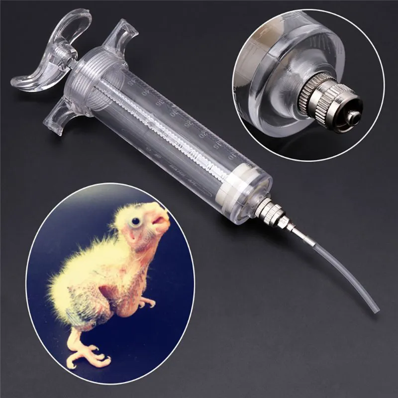 Lindude Toitmine Süstal Käsitsi Söötmine Pidamine Gavage Painutatud Varda Ravimeid Toru Linnud Väikeste Lemmikloomade Toitmine Süstal Pilt 0 